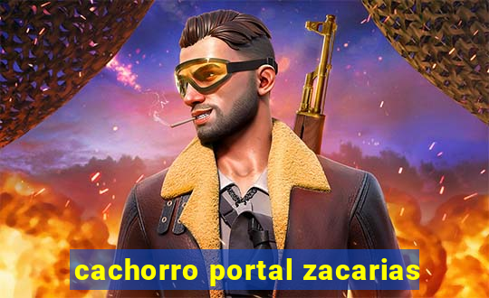 cachorro portal zacarias